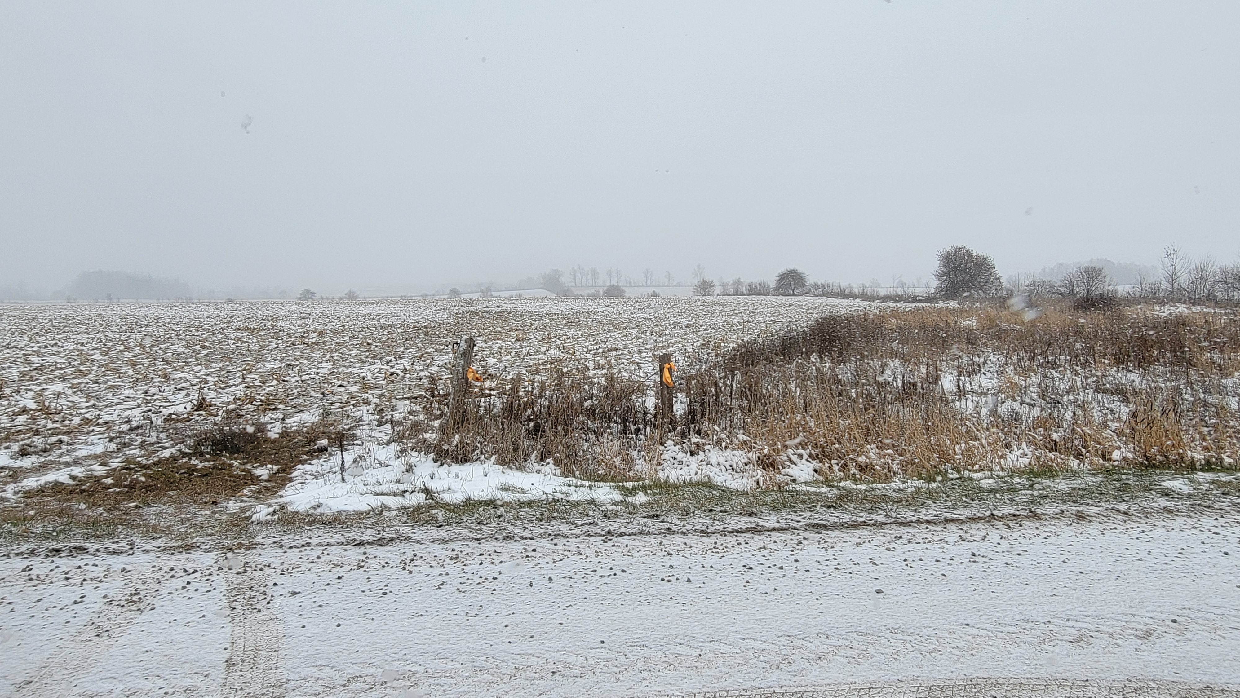 Vacant Land for Place of Worship preview 12